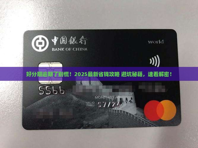 好分期借款逾期了怎么办应该如何处理
