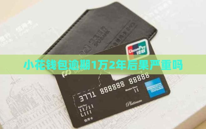 小花钱包1万逾期2年后果严重吗