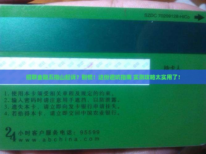 网贷金融五指山起诉应该如何应对