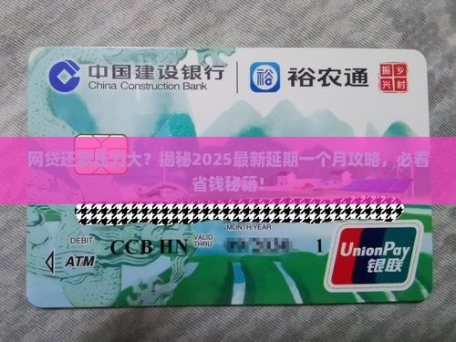 网贷协商延期一个月还款
