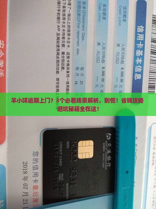 羊小咩逾期上门会怎样处理