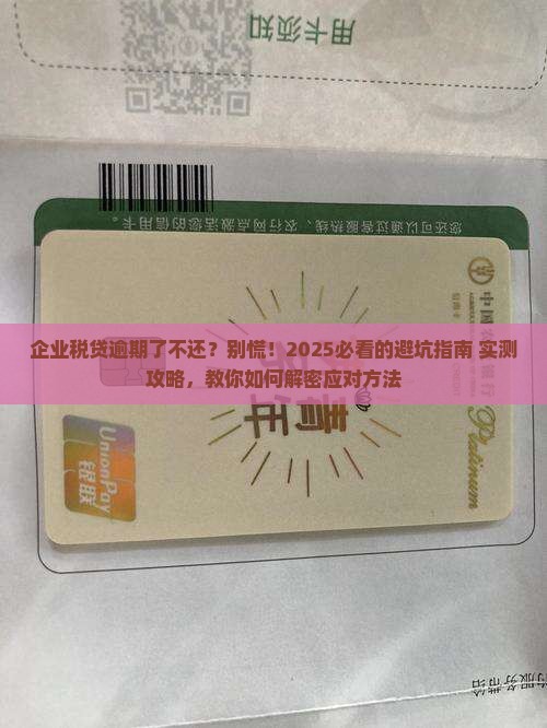企业税贷逾期了不还怎么办