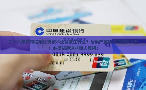 二十几年农村信用社贷款不还会发生什么