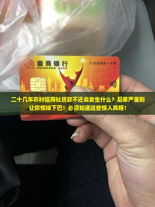 二十几年农村信用社贷款不还会发生什么
