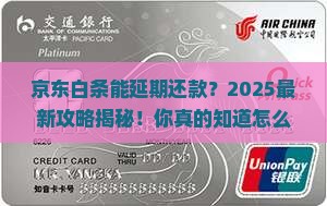 现在京东白条能延期还款吗