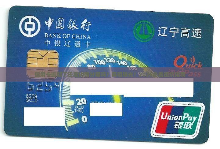 信用卡逾期可以协商分期吗怎么办