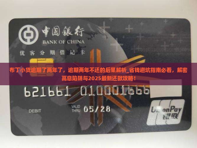布丁小贷逾期了两年了