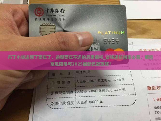 布丁小贷逾期了两年了
