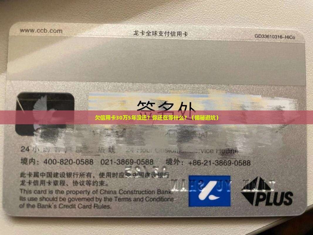 欠信用卡30万5年没还