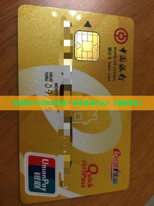 欠信用卡30万5年没还