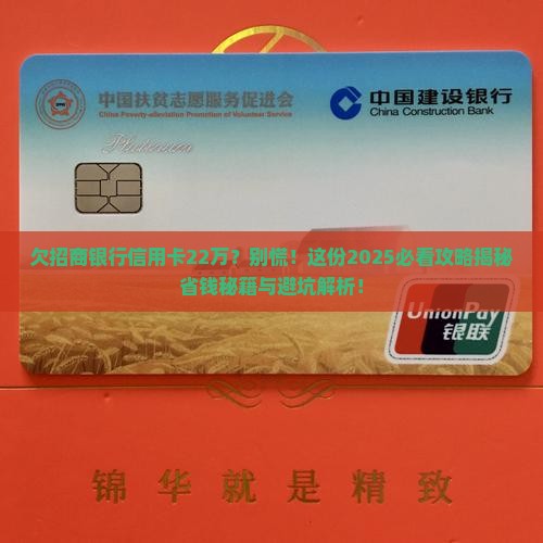 欠招商银行信用卡22万如何处理