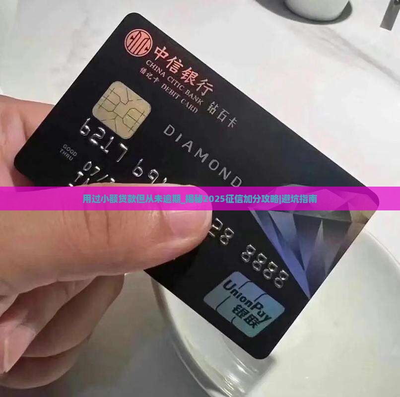 用过小额贷款但从未逾期