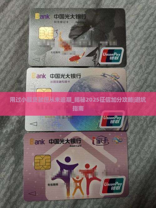 用过小额贷款但从未逾期