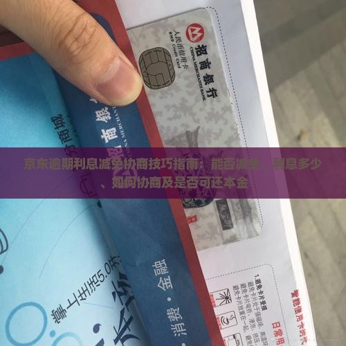 京东逾期利息减免协商技巧指南
