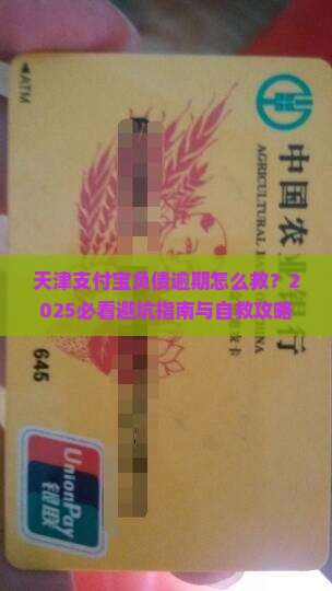 天津支付宝负债逾期处理方法