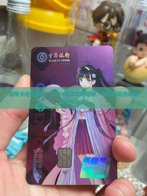信用卡怎么去申请停息挂账的步骤是什么