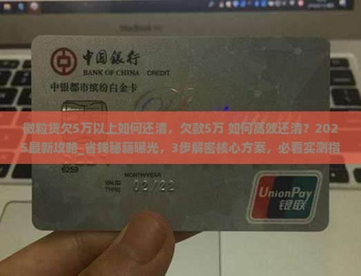微粒贷欠5万以上如何还清