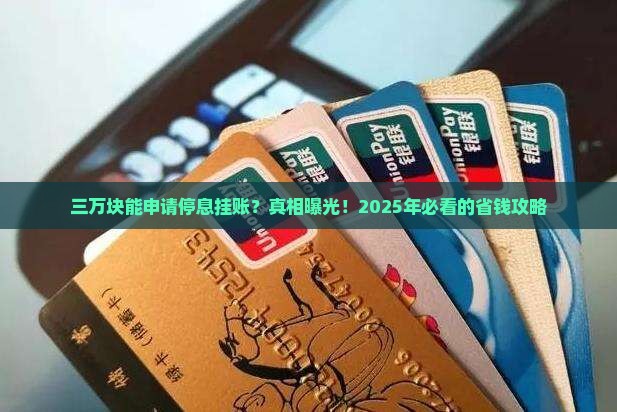 三万块钱能申请停息挂账吗需要什么条件
