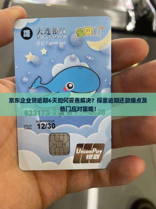 京东企业贷逾期6天了如何处理