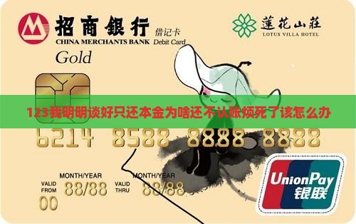 拍拍贷协商还本金不认账如何处理
