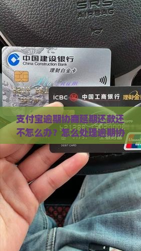 支付宝协商延期三年还不上怎么办
