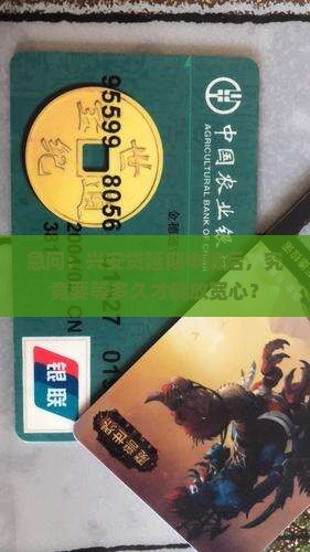兴安贷申请延期多久会怎样