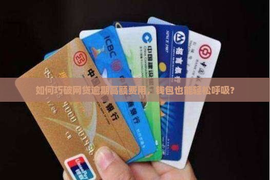 网贷逾期费高怎么减免
