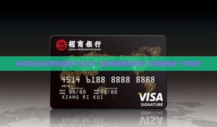 中和农信小额贷款逾期怎么办