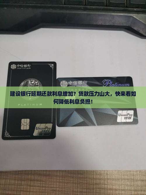 建设银行延期还款利息增加