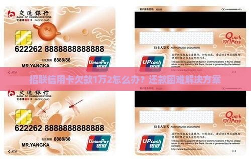 招联信用卡欠款1万2怎么办