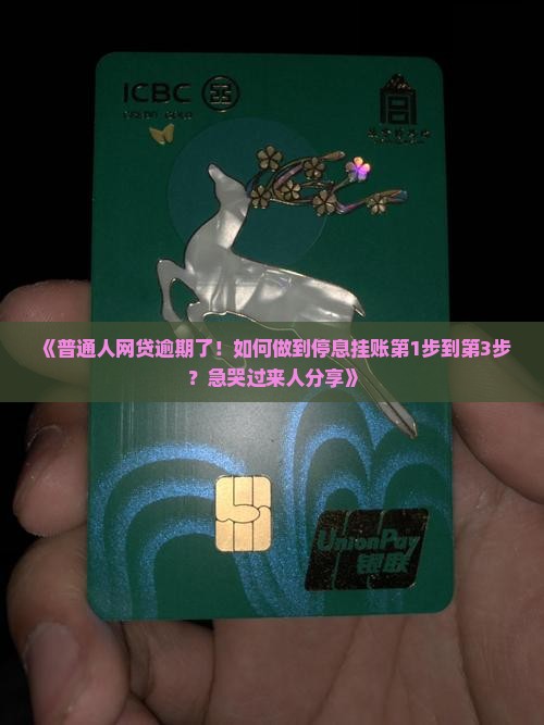 网贷逾期停息挂账成功步骤详解