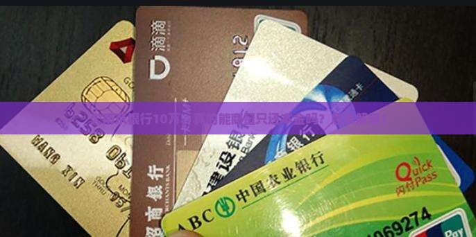 欠南京银行贷款10万能否协商只还本金