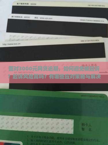 3000块网贷会被起诉吗怎么应对