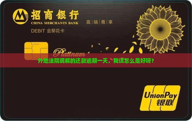 外地法院调解还款逾期一天怎么办