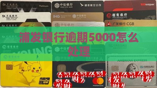 欠浦发5000到当地怎么办理 欠浦发5000到当地怎么办理
