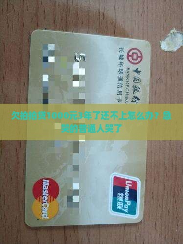 欠拍拍贷一千三年怎么办