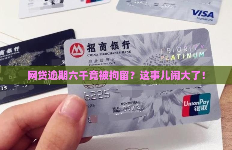 网贷逾期六千元被拘留