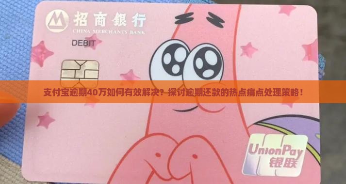 支付宝逾期40万处理方法