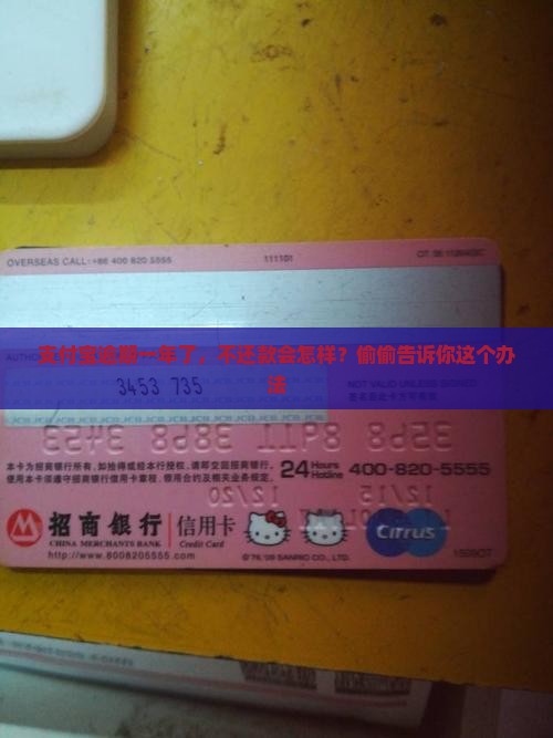支付宝逾期一年会怎么样还款方法是什么
