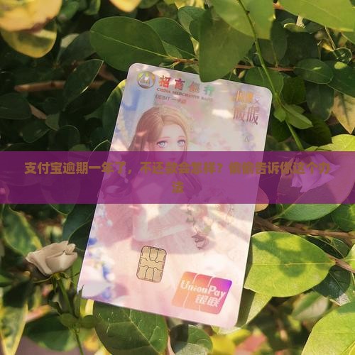 支付宝逾期一年会怎么样还款方法是什么