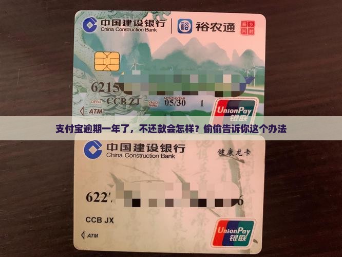 支付宝逾期一年会怎么样还款方法是什么
