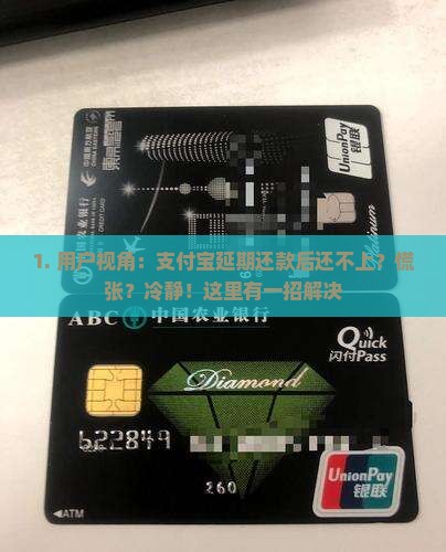 支付宝延期还款后怎么办