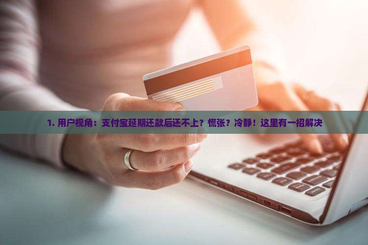 支付宝延期还款后怎么办