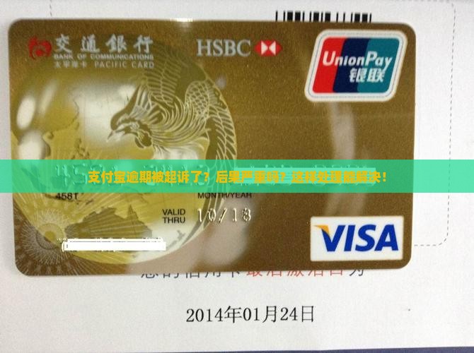 支付宝逾期被立案的后果如何处理