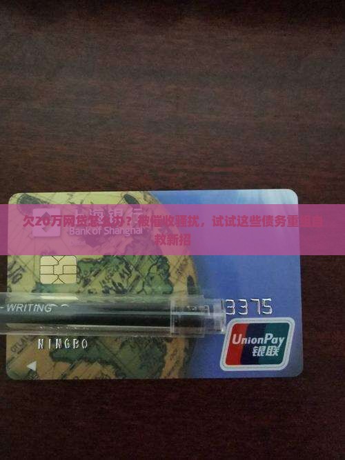 欠20万网贷自救方法