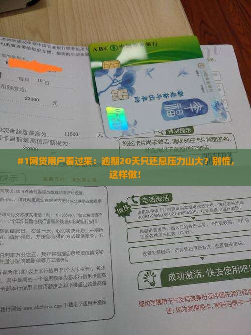 网贷分期逾期20天还息怎么办