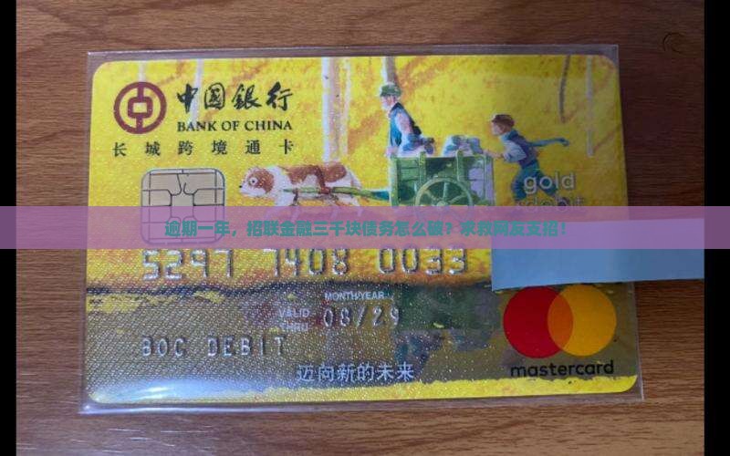 招联金融三千块逾期一年怎么解决