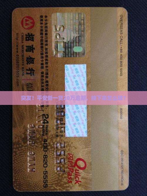 平安新一贷20万逾期如何处理