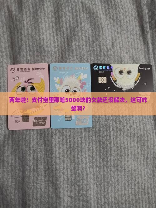 支付宝欠了5000两年没还怎么办