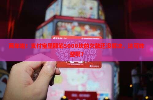 支付宝欠了5000两年没还怎么办